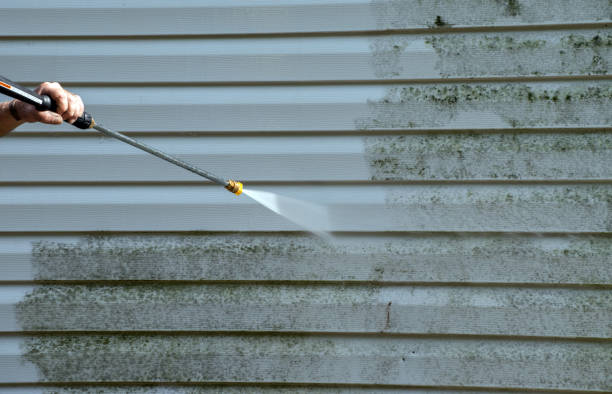 Best Driveway Pressure Washing  in Miles City, MT